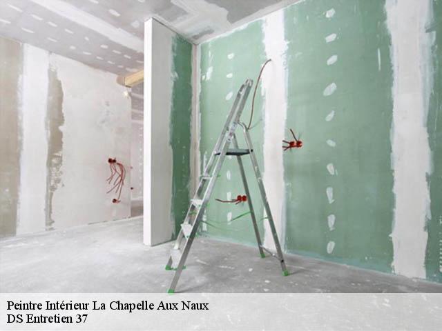 Peintre Intérieur  la-chapelle-aux-naux-37130 DS Entretien 37