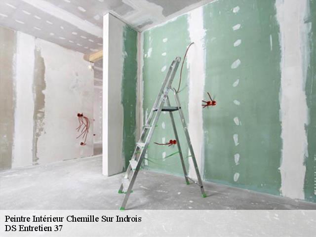 Peintre Intérieur  chemille-sur-indrois-37460 DS Entretien 37