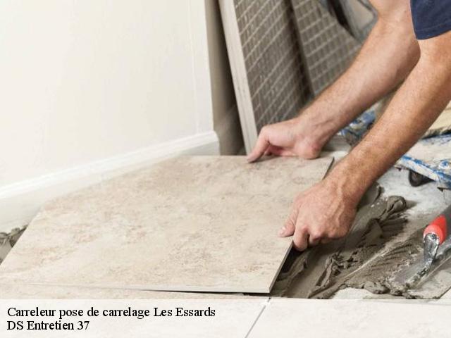 Carreleur pose de carrelage  37130