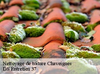 Nettoyage de toiture  chaveignes-37120 DS Entretien 37